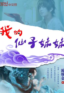 《我的仙子妹妹》小说封面
