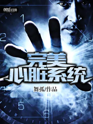 《完美心脏系统》小说封面