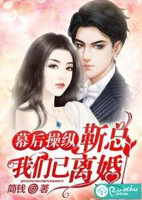 《幕后操纵:靳总,我们已离婚》小说封面