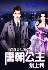 《唐朝公主爱上我》小说封面