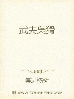 《武夫枭猾》小说封面