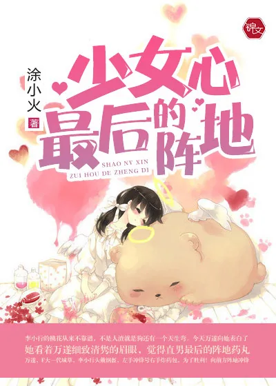 《少女心最后的阵地》小说封面