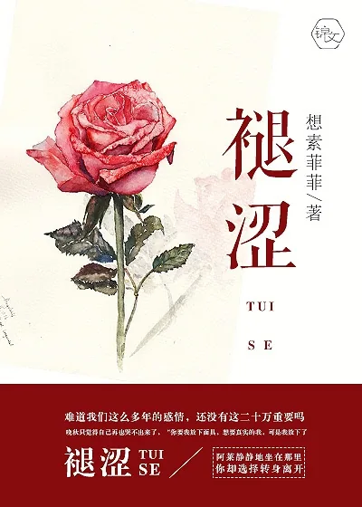 《褪涩》小说封面