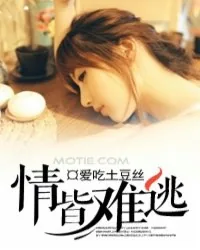 《情皆难逃》小说封面