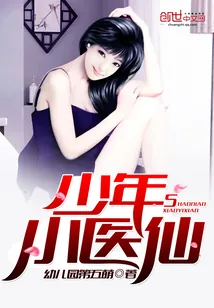 《少年小医仙》小说封面