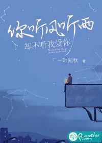 《你听风听雨,却不听我爱你》小说封面