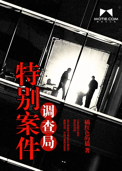 《特别案件调查局》小说封面