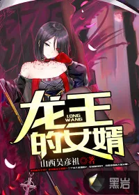 《龙王的女婿》小说封面