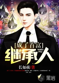 《成了首富继承人》小说封面