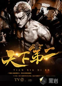 《天下第二》小说封面