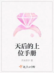《天后的上位手册》小说封面