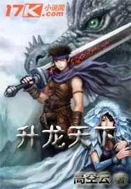 《升龙天下》小说封面