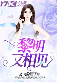 《黎明又相见》小说封面
