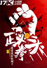 《正义的拳头》小说封面