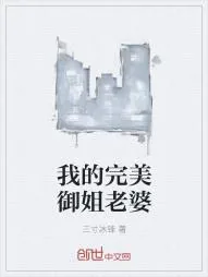 《我的完美御姐老婆》小说封面
