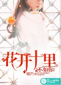 《花开十里,不如你》小说封面