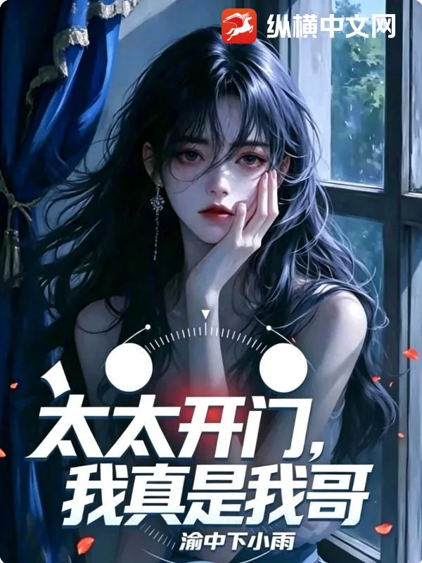《太太开门，我真是我哥》小说封面