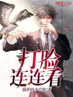 《打脸连连看》小说封面