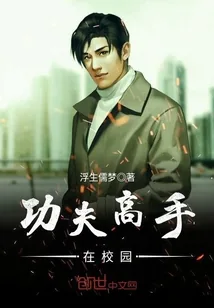 《功夫高手在校园》小说封面