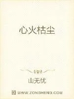 《心火枯尘》小说封面