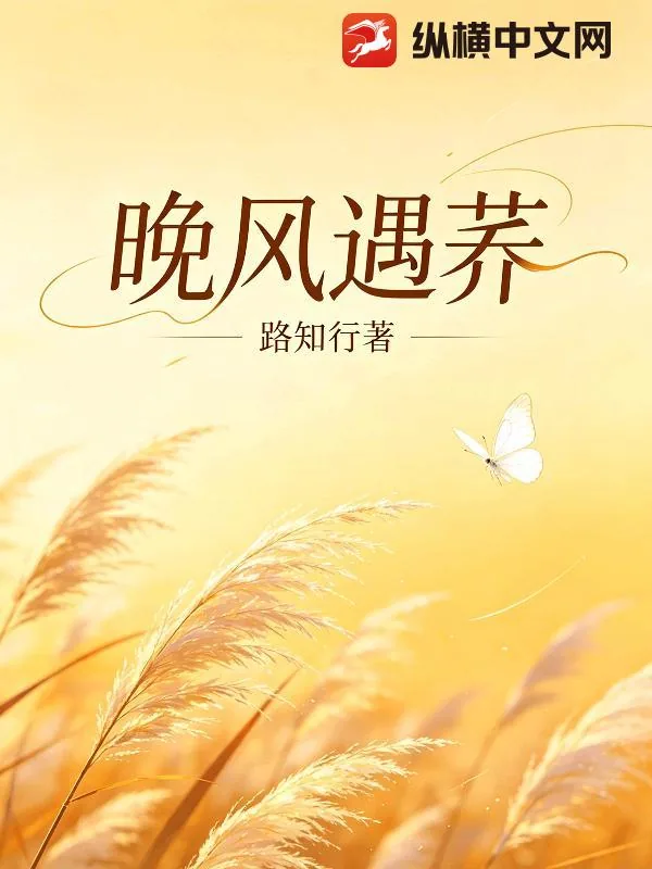 《晚风遇荞》小说封面
