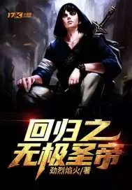 《回归之无极圣帝》小说封面