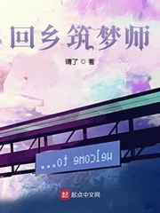 《回乡筑梦师》小说封面