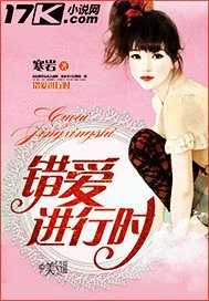 《错爱进行时》小说封面