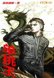《单挑王》小说封面