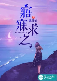 《寤寐求之》小说封面