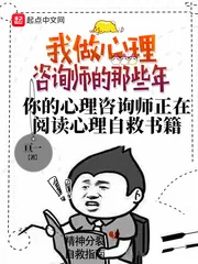 《我做心理咨询师的那些年》小说封面