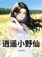 《逍遥小野仙》小说封面