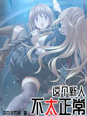 《这个新人不太正常》小说封面
