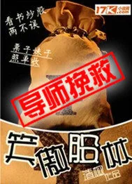 《笑傲股林》小说封面