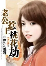 《老公惹上桃花劫》小说封面