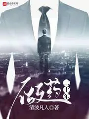 《做药二十年》小说封面