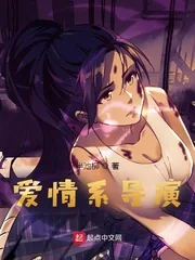 《爱情系导演》小说封面