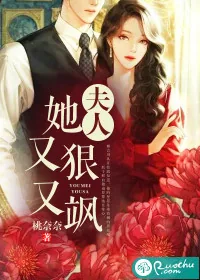 《夫人她又狠又飒》小说封面