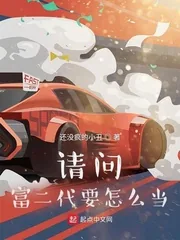 《请问富二代要怎么当》小说封面