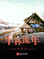 《半杯流年半杯月》小说封面