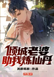 《倾城老婆助我炼仙丹》小说封面