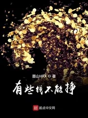《有些钱不能挣》小说封面