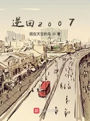 《逆回2007》小说封面