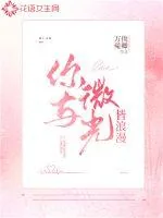 《你与微光皆浪漫》小说封面