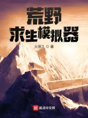 《荒野求生模拟器》小说封面