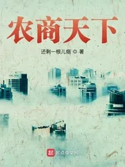 《农商天下》小说封面