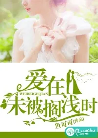 《爱在未被搁浅时》小说封面