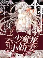 《云少蜜宠小娇妻》小说封面