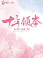 《十年倾岑》小说封面