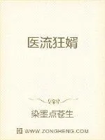 《医流狂婿》小说封面